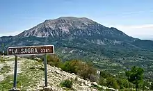 Pico de La Sagra con la vegetación en el pie de monte.