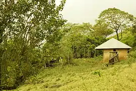 Choza en Xitlama, municipio de Tlanchinol.