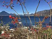 Lago de Atitlán visto desde Panajachel.