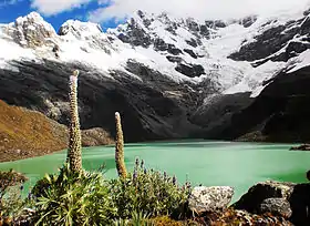 Laguna Allicocha