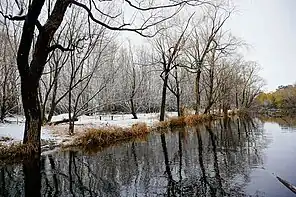 Laguna Elena. Jardín Botánico de la ciudad de Plottier - Postales 2022