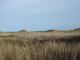 Laguna de Torreguadiaro.