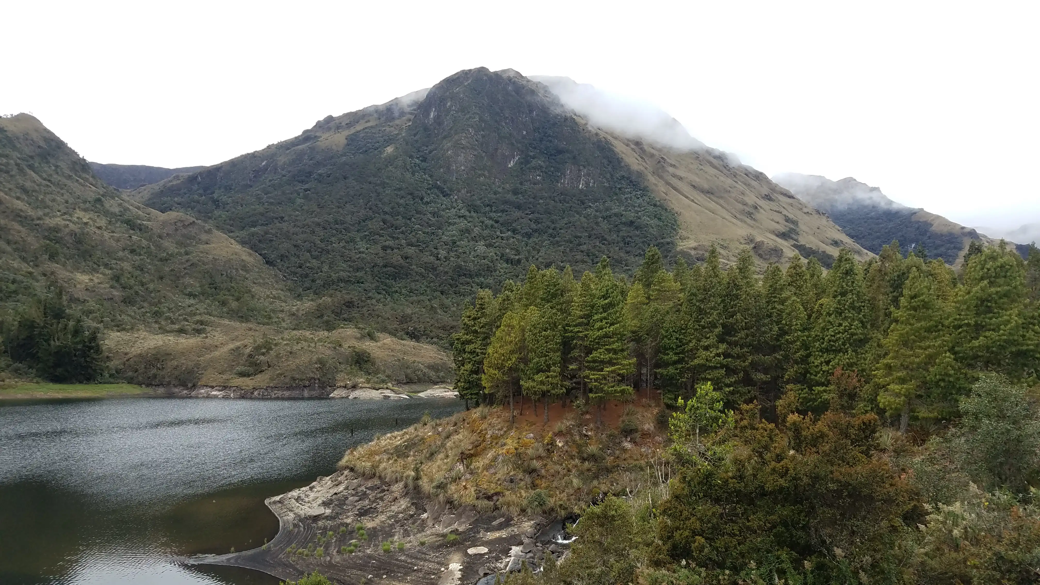 Una de las lagunas del parque, sector El Dorado