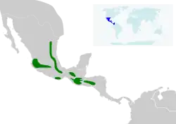 Distribución de Lampornis amethystinus