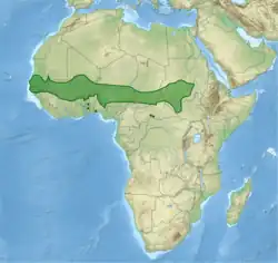 Distribución de L. caudatus