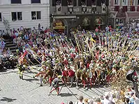 Lansquenetes formando un erizo de picas