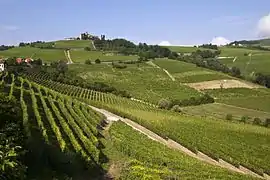 Paisaje vitícola del Piamonte: Langhe-Roero y Monferrato