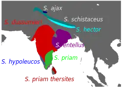 Distribución del género