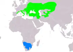 Distribución de L. minor