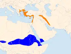 Distribución