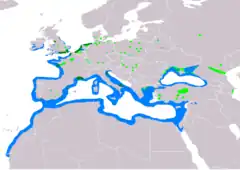 Distribución de Ichthyaetus melanocephalus