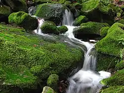 Una pequeña cascada en el  Yermo Regional las Trampas