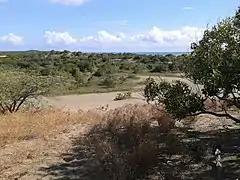 Paisaje de Las Dunas