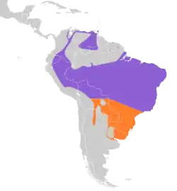 Distribución geográfica del mosquero de Euler.