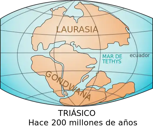 Aparentemente Lophosoria se originó a principios del Cretácico, el sur del continente de Gondwana, y ya existía cuando el continente se separó a finales del Cretácico.