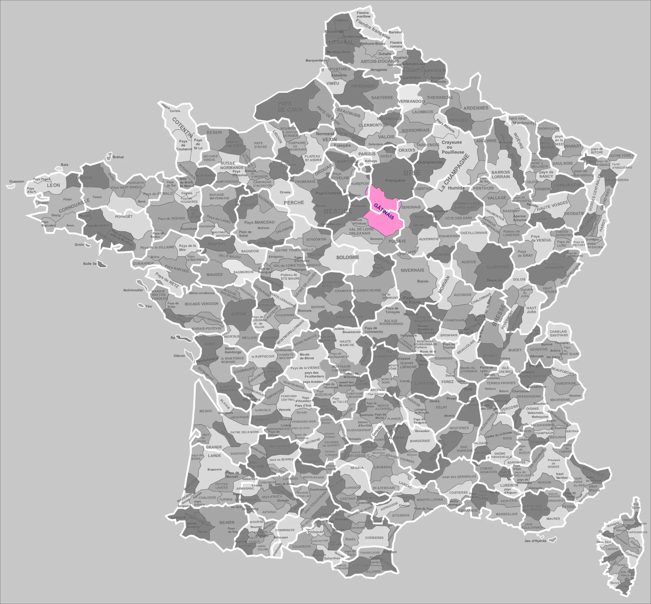 El Gatinés en la Francia metropolitana (en rosa)