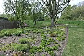 El jardín de Norteamérica.