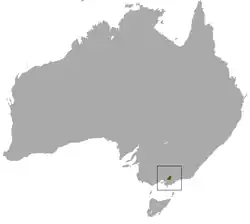 Distribución del falangero de Leadbeater