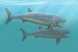 Leedsichthys (Actinopterygii)