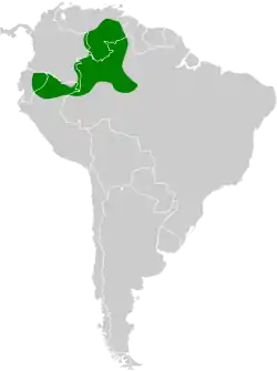 Distribución geográfica del trepatroncos del Duida.