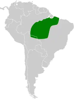 Distribución geográfica del trepatroncos cabecipardo.