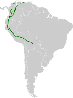 Distribución geográfica del trepatroncos montano.