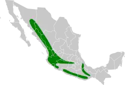 Distribución geográfica del trepatroncos escarchado.