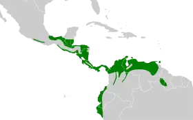 Distribución geográfica del trepatroncos cabecirrayado.