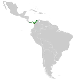 Range of L. coeruleogularis