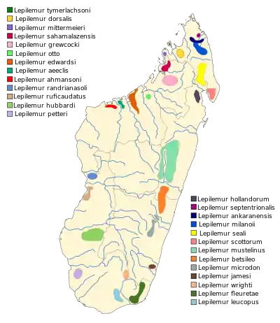 Distribución de las diferentes especies de Lepilemur