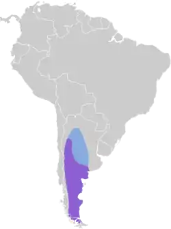 Distribución geográfica del tijeral colinegro sureño.