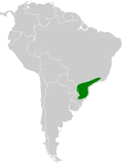 Distribución geográfica del coludito de los pinos.