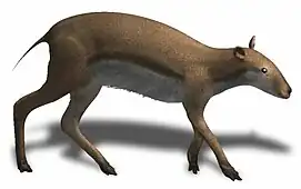 L. evansi (reconstrucción virtual)