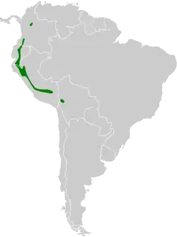 Distribución de Lesbia nuna