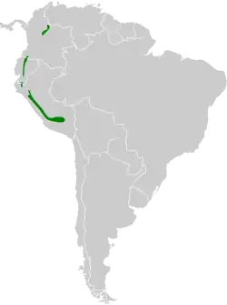 Distribución de Lesbia victoriae