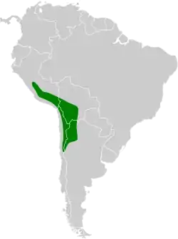 Distribución geográfica del negrito andino.