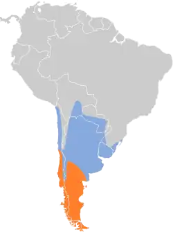 Distribución geográfica del negrito austral.