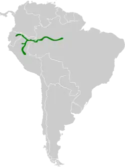 Distribución de Leucippus chlorocercus