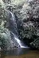 Una pequeña cascada en Leura