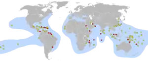 Área de distribución de la especie y lugares de puesta.«Information About Sea Turtles: Hawksbill Sea Turtle» (en inglés). Sea Turtle Conservancy. Consultado el 21 de octubre de 2019.  Rojo: Principales. Amarillo: Otros.