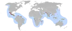 Distribución de Lepidochelys olivacea. Círculos rojos: áreas de puesta. Amarillos: playas de menor importancia.