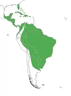 Distribución actual del género Aramus.