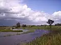 El río Linde cerca de De Blesse.