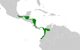 Distribución geográfica del guardabosques rojizo.