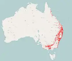 Distribución del lori carirrojo en Australia