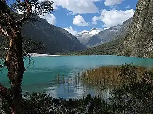 Quebrada de Llanganuco