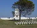 El llamado "Pino Solitario" (Lone Pine) ante el cementerio y monumento a los caídos en la batalla del Pino Solitario (Gallípoli).