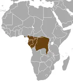 Distribución de la mangosta hocicuda