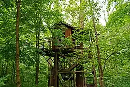 Cabaña en el árbol.