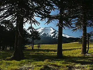 El volcán en verano.